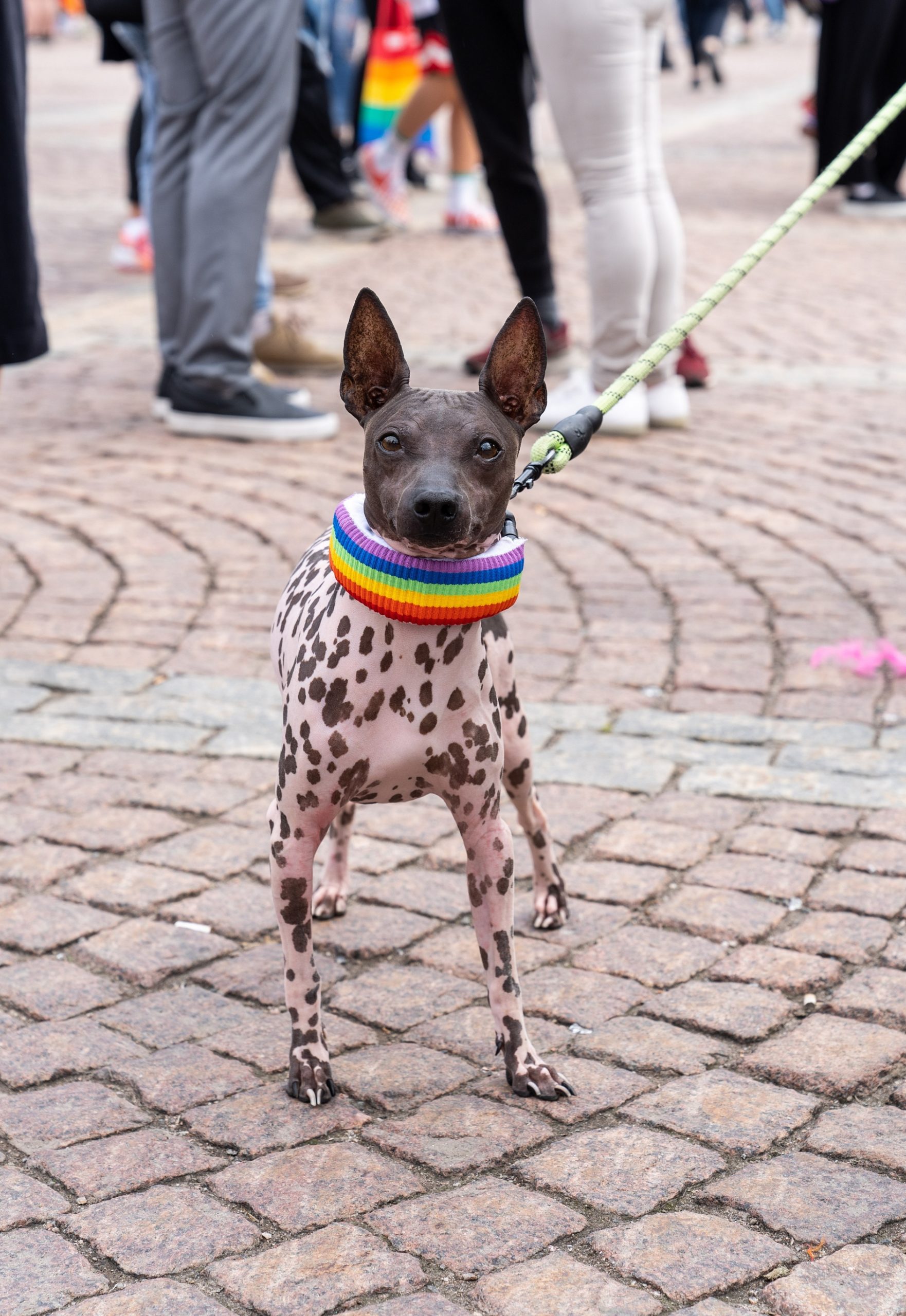 PRIDE HELSINKI 2019
